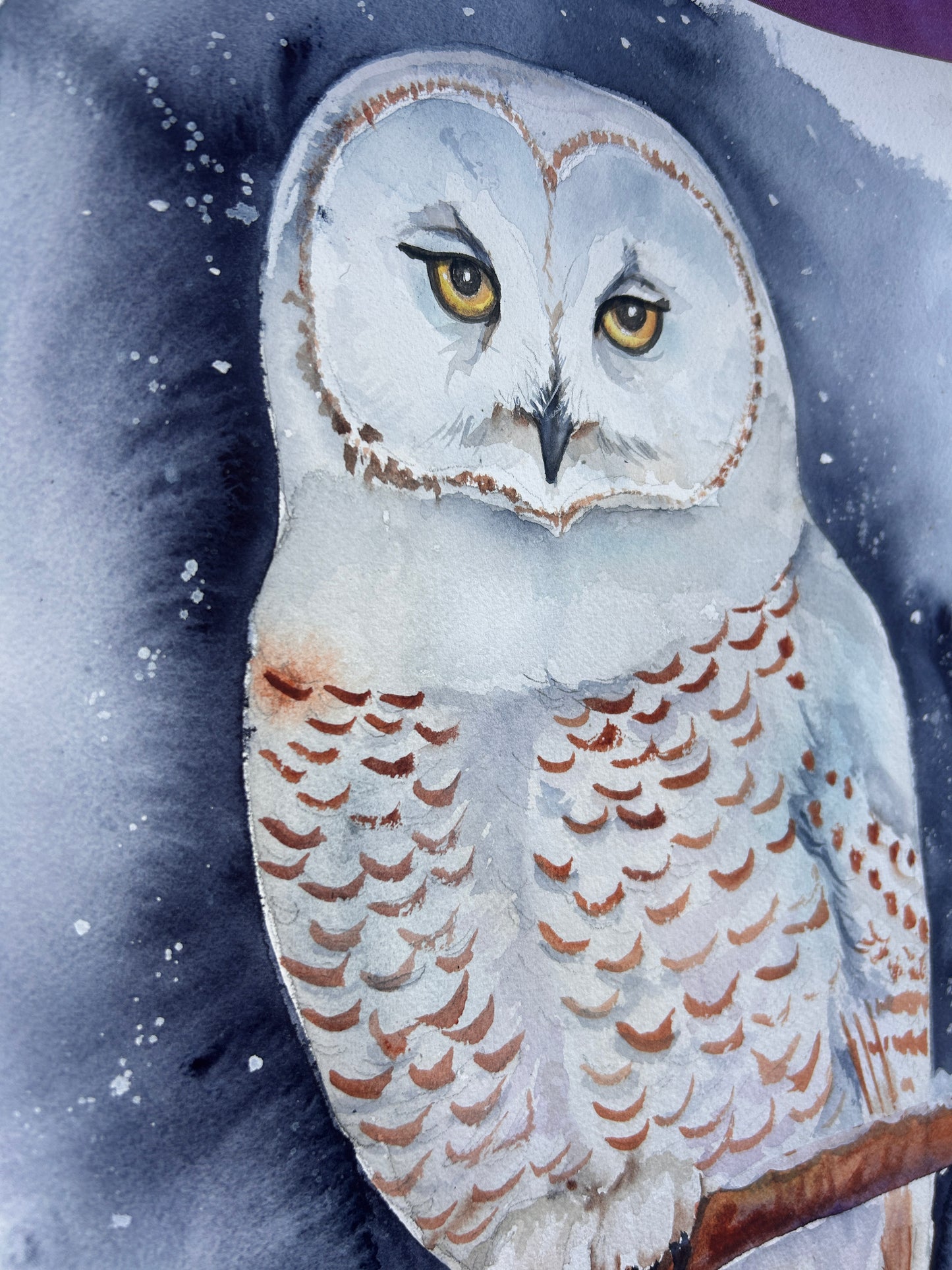 "Winter’s Gaze" – Original Watercolor