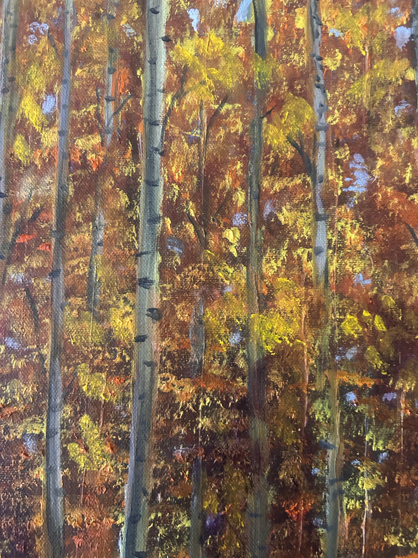 "Large Original Oil Painting on Canvas, Golden Autumn Forest Landscape, 36x36 Square Wall Art, Modern Nature Decor for Living Room"