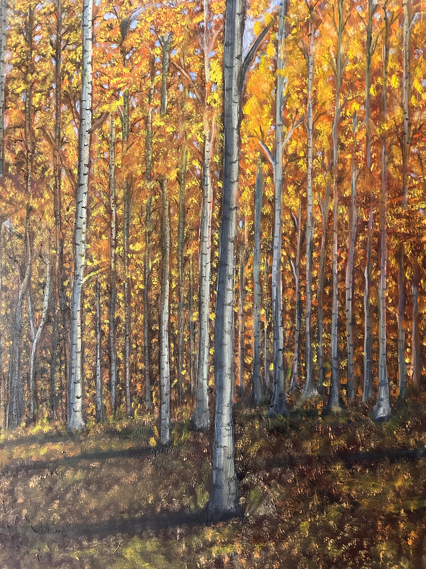 "Large Original Oil Painting on Canvas, Golden Autumn Forest Landscape, 36x36 Square Wall Art, Modern Nature Decor for Living Room"